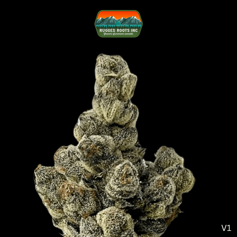 Rugged Roots | Grand Opening 420 Celebration | Bangor Maine